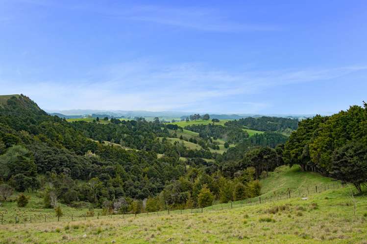 173 Mount Tiger Road Whareora_21