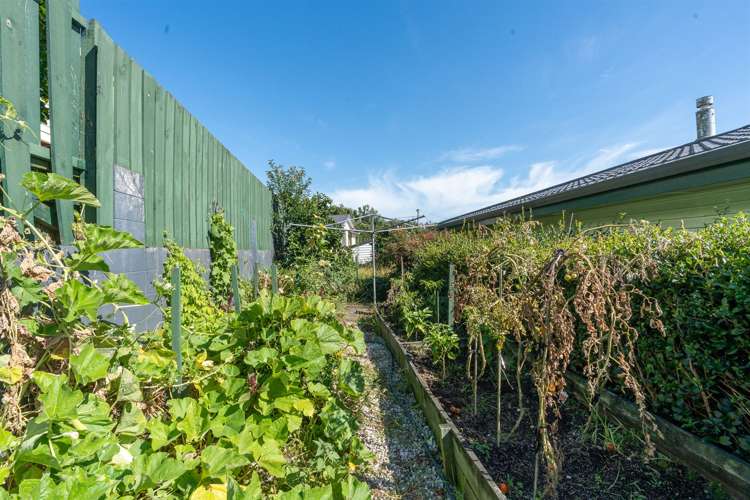 35 Livingstone Avenue Nawton_12