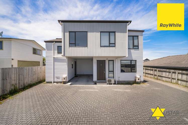 69A Astley Avenue New Lynn_12