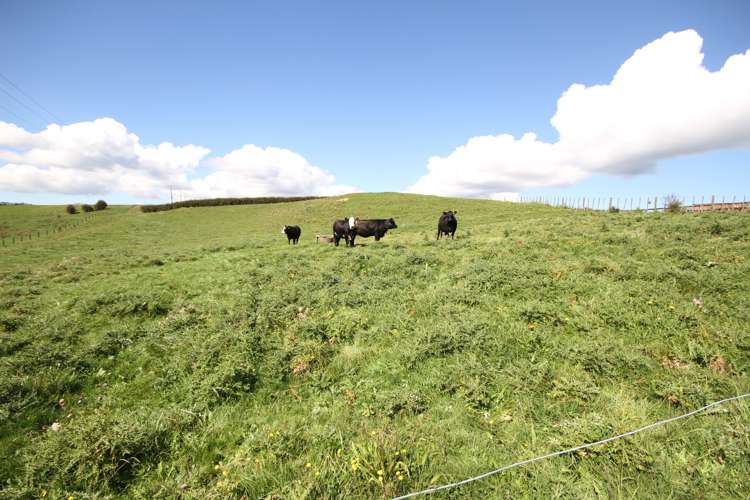 188 Waitawheta Road Waikino_26