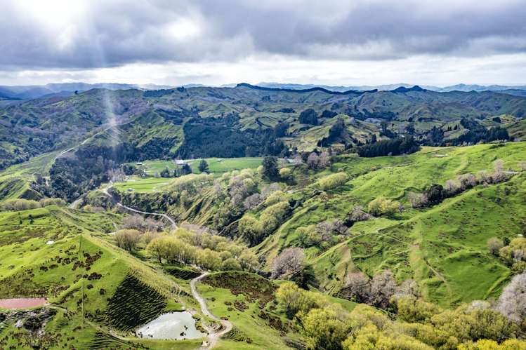 783 Glenroy Road Whangara_8