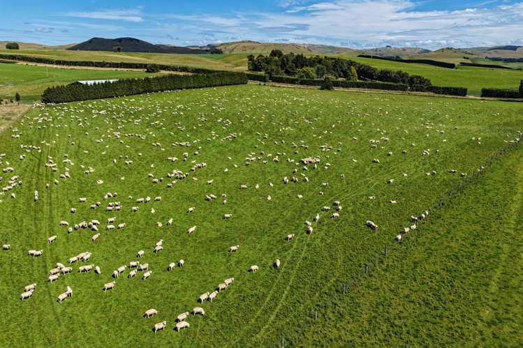 209 Quertier Road Kaiwera_8