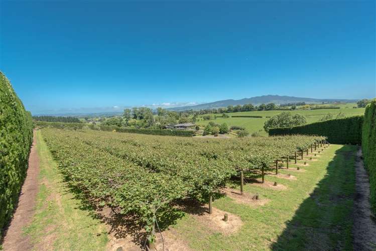 795 Pokuru Road Te Awamutu_2