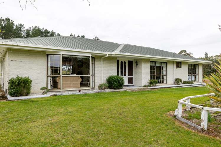 355 Rangiotu Road Himatangi_14