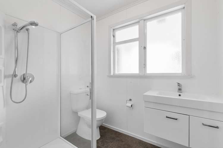 24 Carlisle Street Levin_6