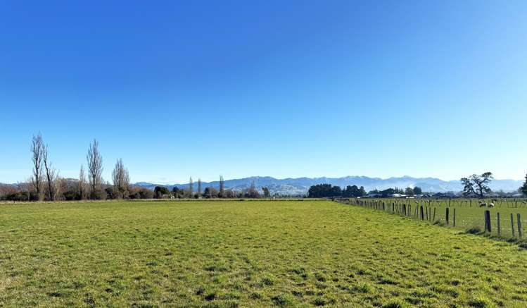 250 South Road Masterton_3