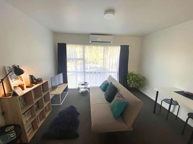 5/20A Te Aroha Street Hamilton East_3