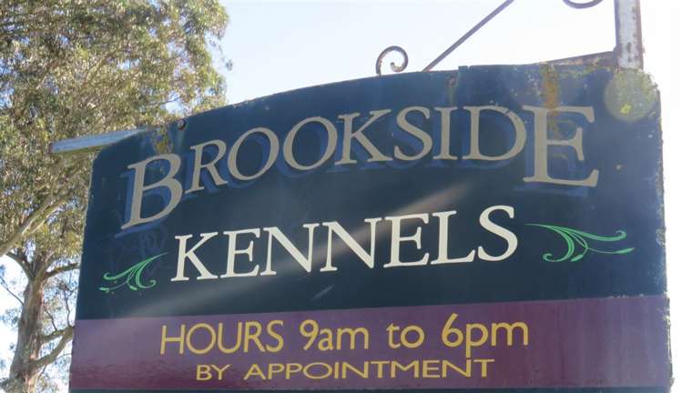 208 Woodbury Road Geraldine_8