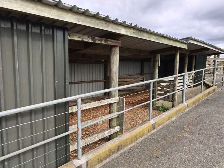 1698 State Highway 10 Totara North_7