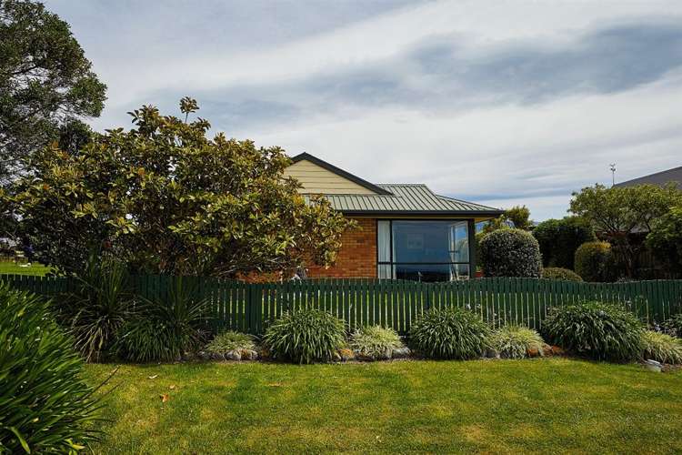 38 Ward Street Kaikoura_6
