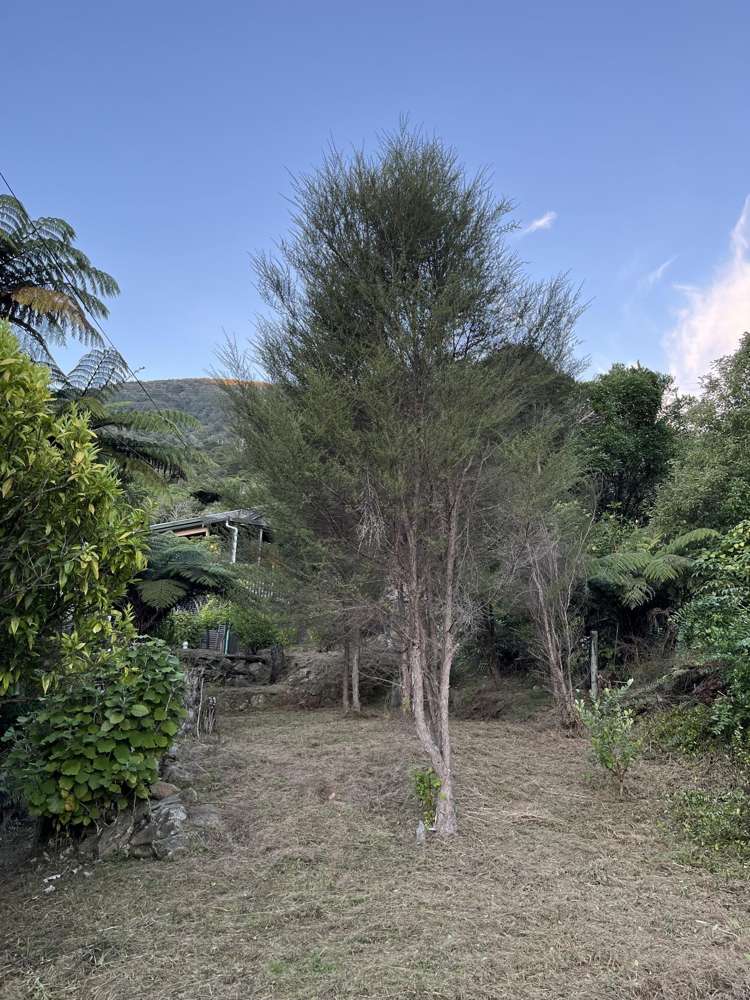 Lot 5 DP 3395 Endeavour Inlet_9