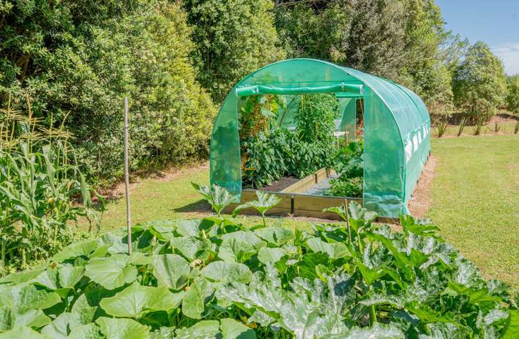 19 Convent Road Otaki_22