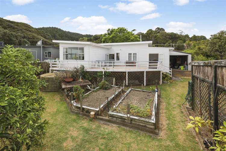 3 Hazlett Road Te Mata_15