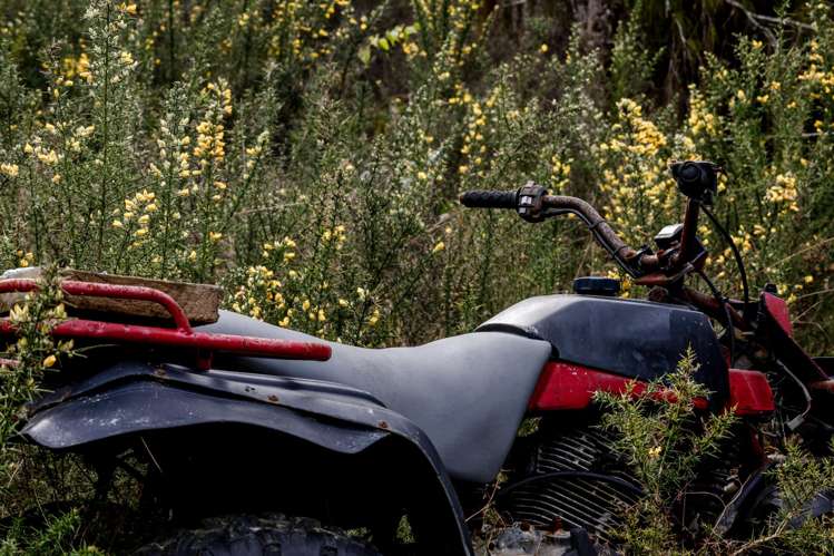 8 National Street Kumara_8