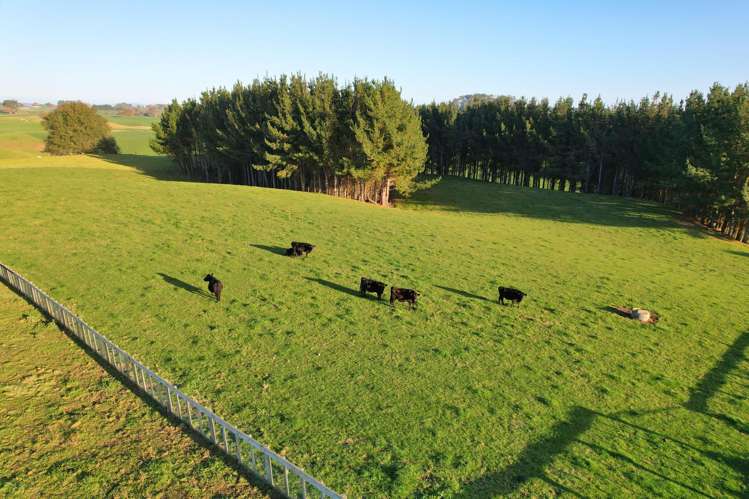 11C Jones Road Putaruru_6