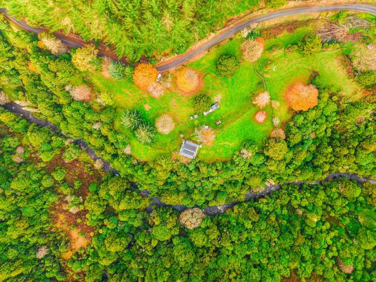 2005 Ongarue Stream Road Waimiha_20