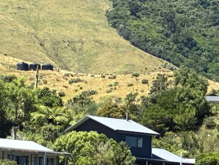 Cissy Bay Road, Cissy Bay French Pass_12