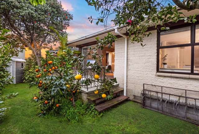 2/15 Riverview Road Panmure_1