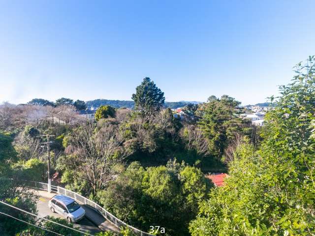 37 Devon Street Aro Valley_2