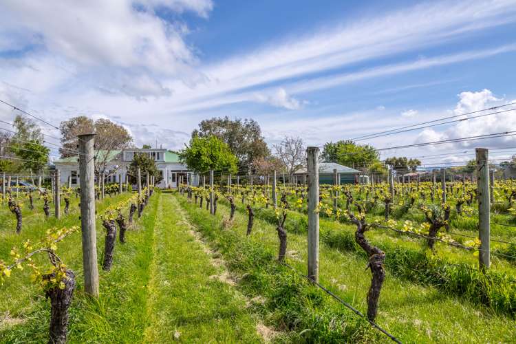 35 Cambridge Road Martinborough_5