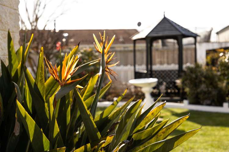 42a Mclauchlan Street Springlands_23