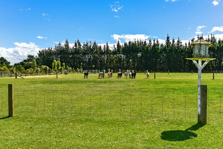 1316 Tramway Road Dunsandel_20