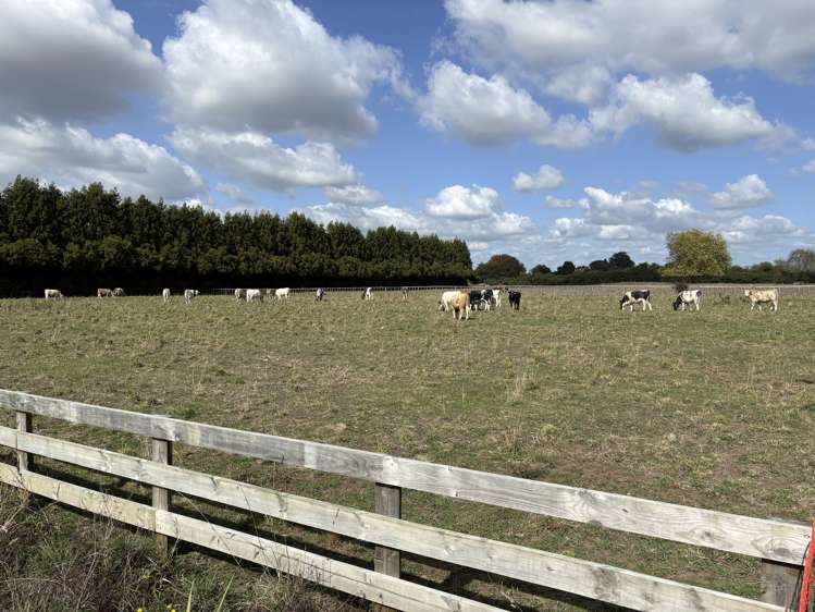 6 Bowman Road Matamata_6