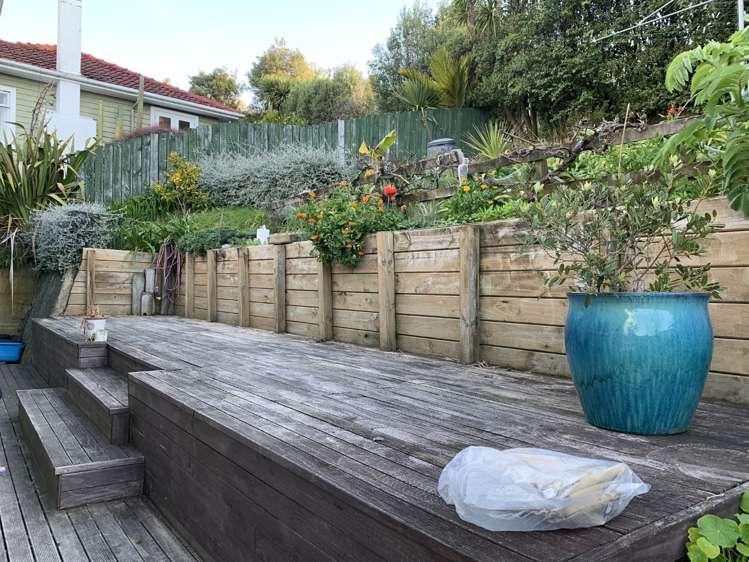 116 Murphy Street Toi Toi_3