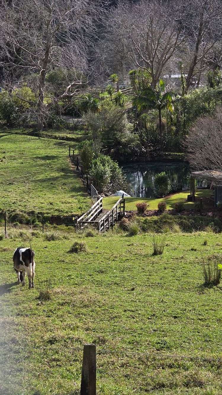 2 Long Road Waitakere_3