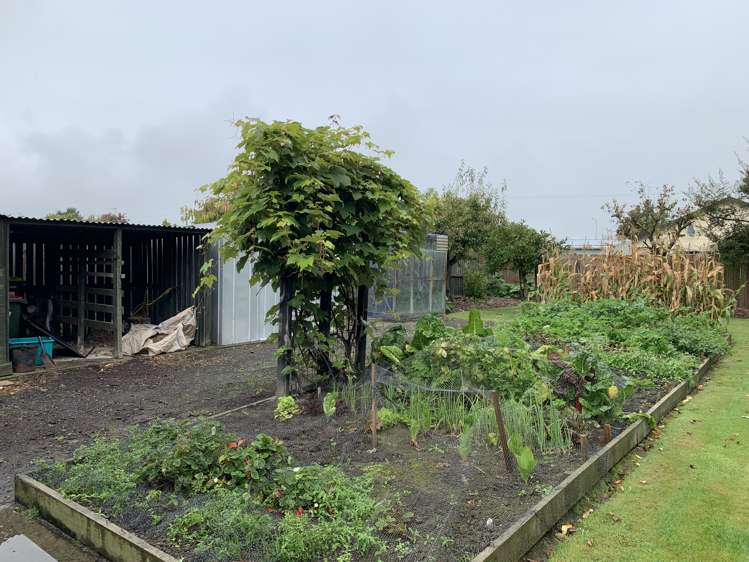 7 Cherry Lane Tinwald_12