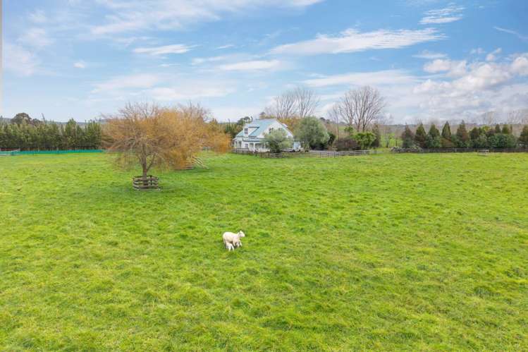 2179 State Highway 16 Helensville_19