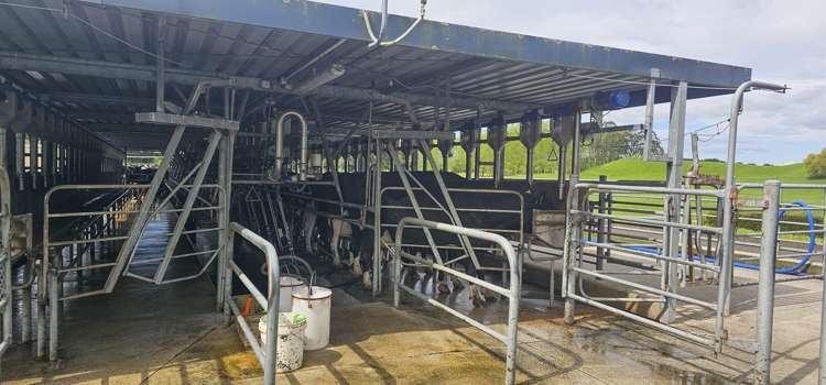 441 State Highway 38 Rerewhakaaitu_7