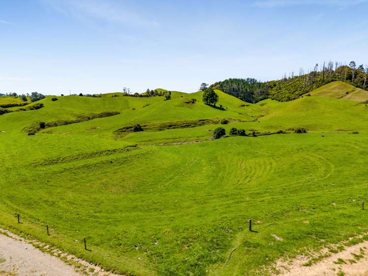 137 Ratapiko Road Ratapiko_18