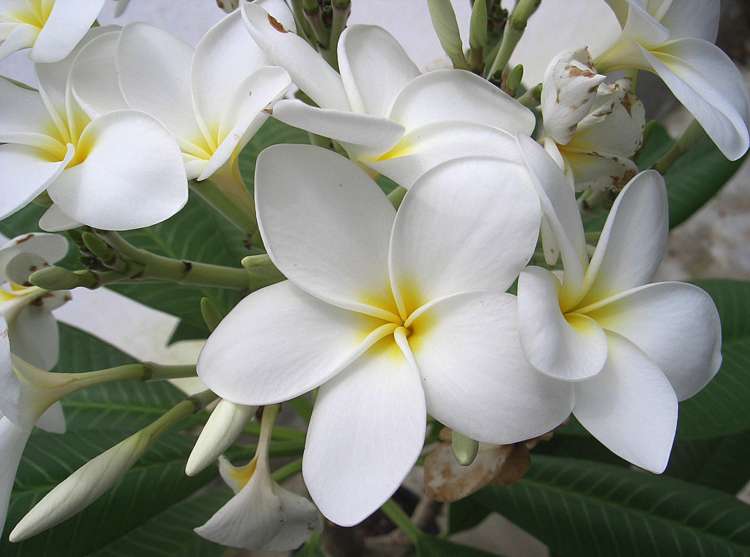 330 West Coast Road Awanui_22