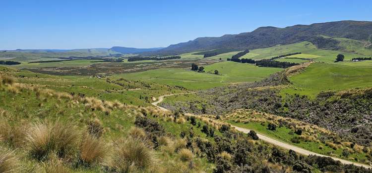 623 Slopedown Road Catlins Surrounds_19