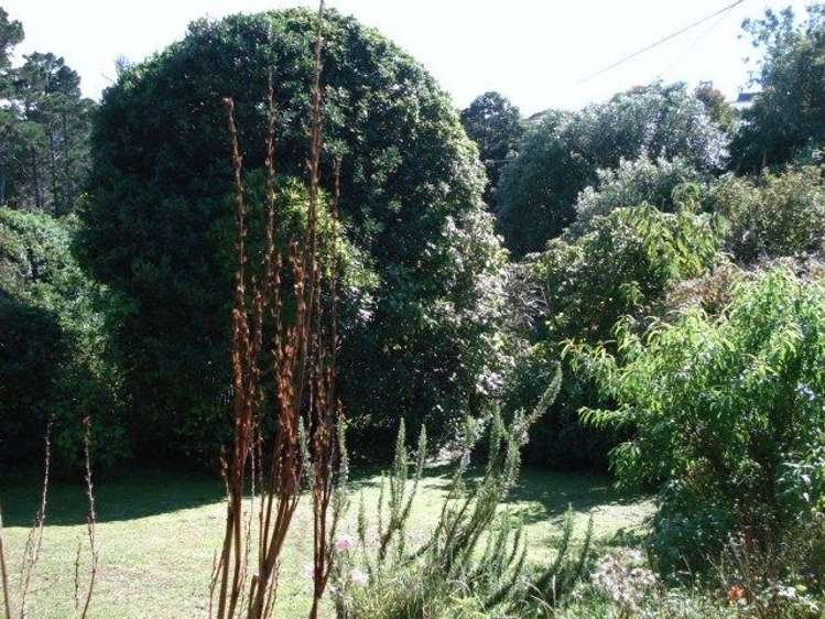 49 Highbury Road Highbury_12