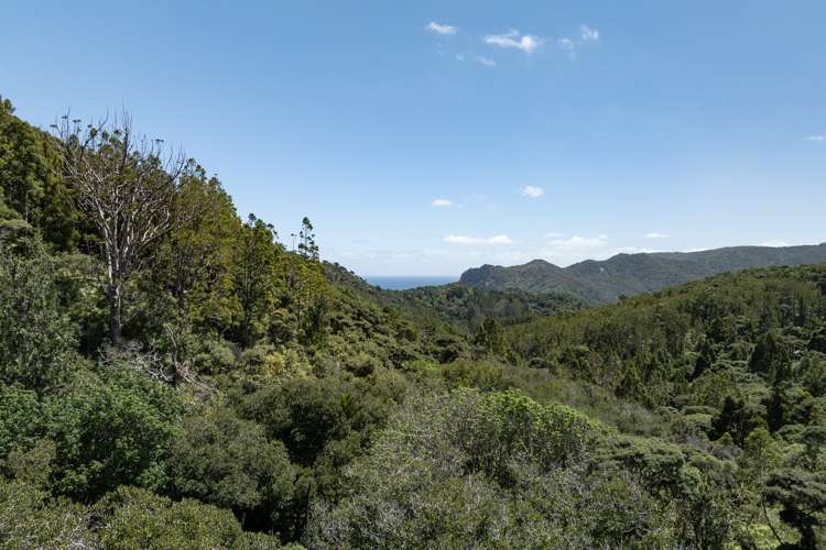 101-103 Lone Kauri Road Karekare_30