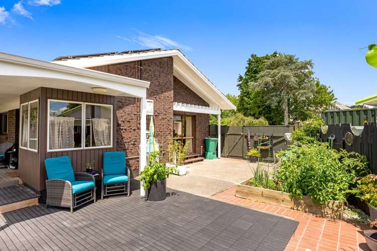 15A Hinaki Street Inner Kaiti_22