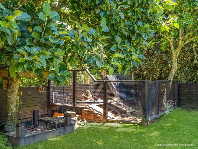 Address withheld Ngongotaha_1