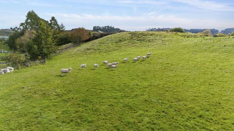 597c Hamurana Road Hamurana_3