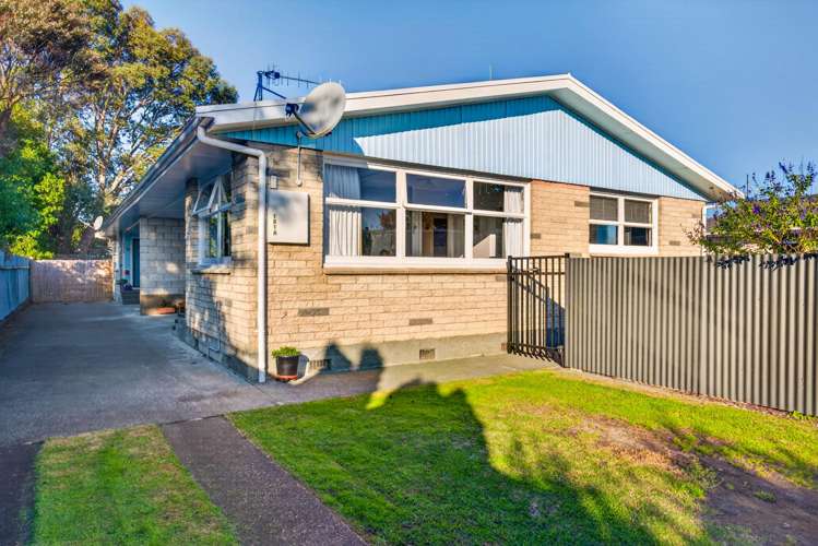 1/161A Nelson Crescent Napier South_11