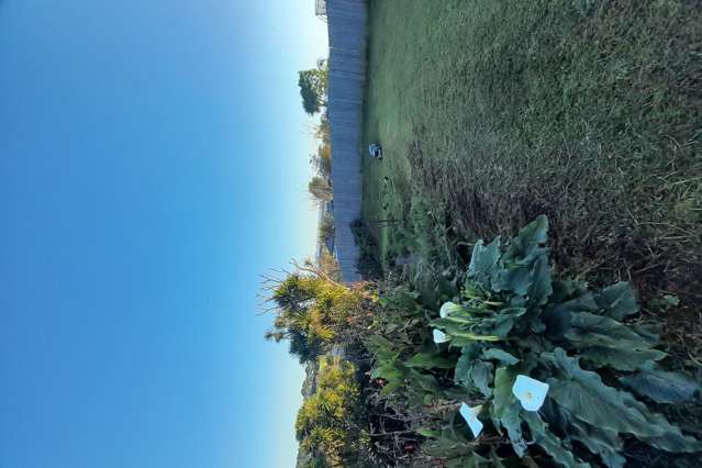 107 Bowen Place Thames_2