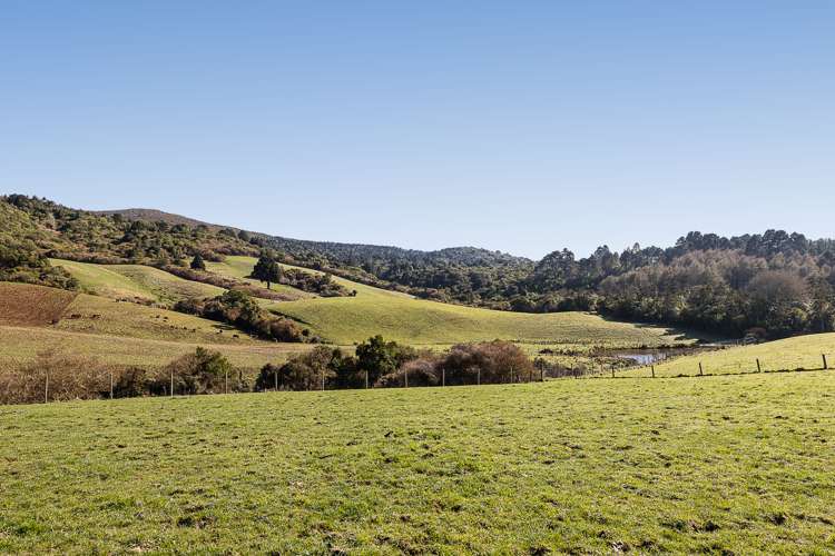 233 Leith Valley Road Leith Valley_8