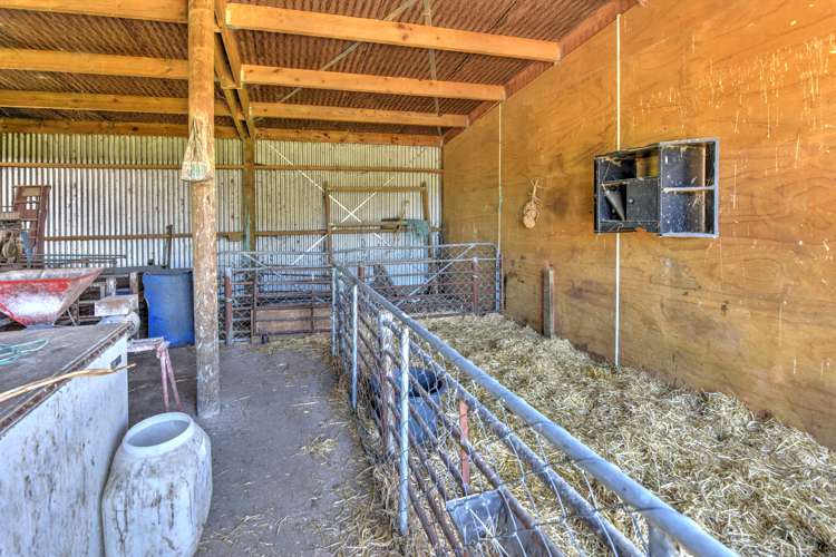 206 Edendale Wyndham Road Wyndham Surrounds_15