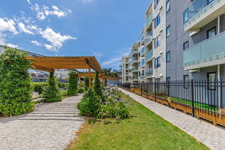 204/46 Rosedale Road Rosedale_10