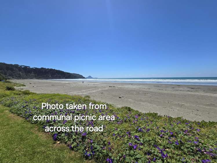 23B West End Road Ohope_16