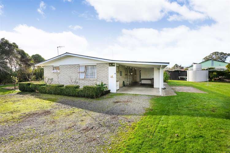 6 Flower Street Bulls_25