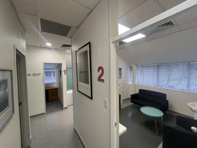 3 Ely Avenue Remuera_2