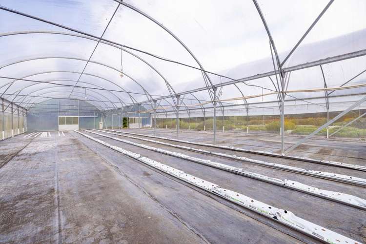 389 Old Highway Whakamarama_18