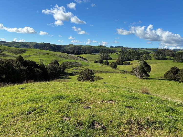 Paparoa Road_0